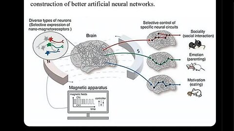 "Unlocking the Power of the Human Hive Mind: A Deep Dive into Collective Intelligence"