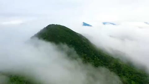 nature video #samar