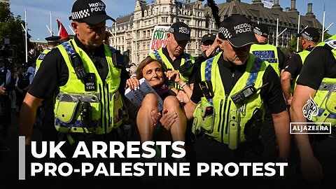 UK police arrest at least 365 people at Palestine Action protest in London