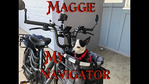 My Little Maggie Riding Shotgun on my Fucare Libra Electric Bike - Orange County CA