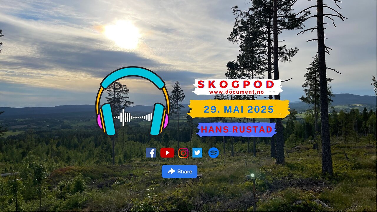 Skogpod 29. mai 2025