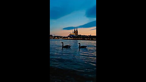 Cologne Germany 🇩🇪
