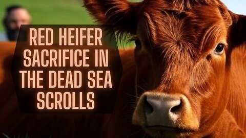 How Jesus Fulfills the Red Heifer Sacrifice | TSR 420