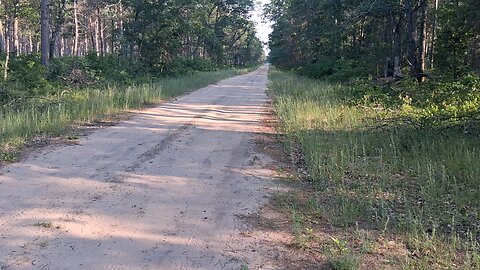 A walk in the dispersed camping zone at the Lumberman's monument in Michigan