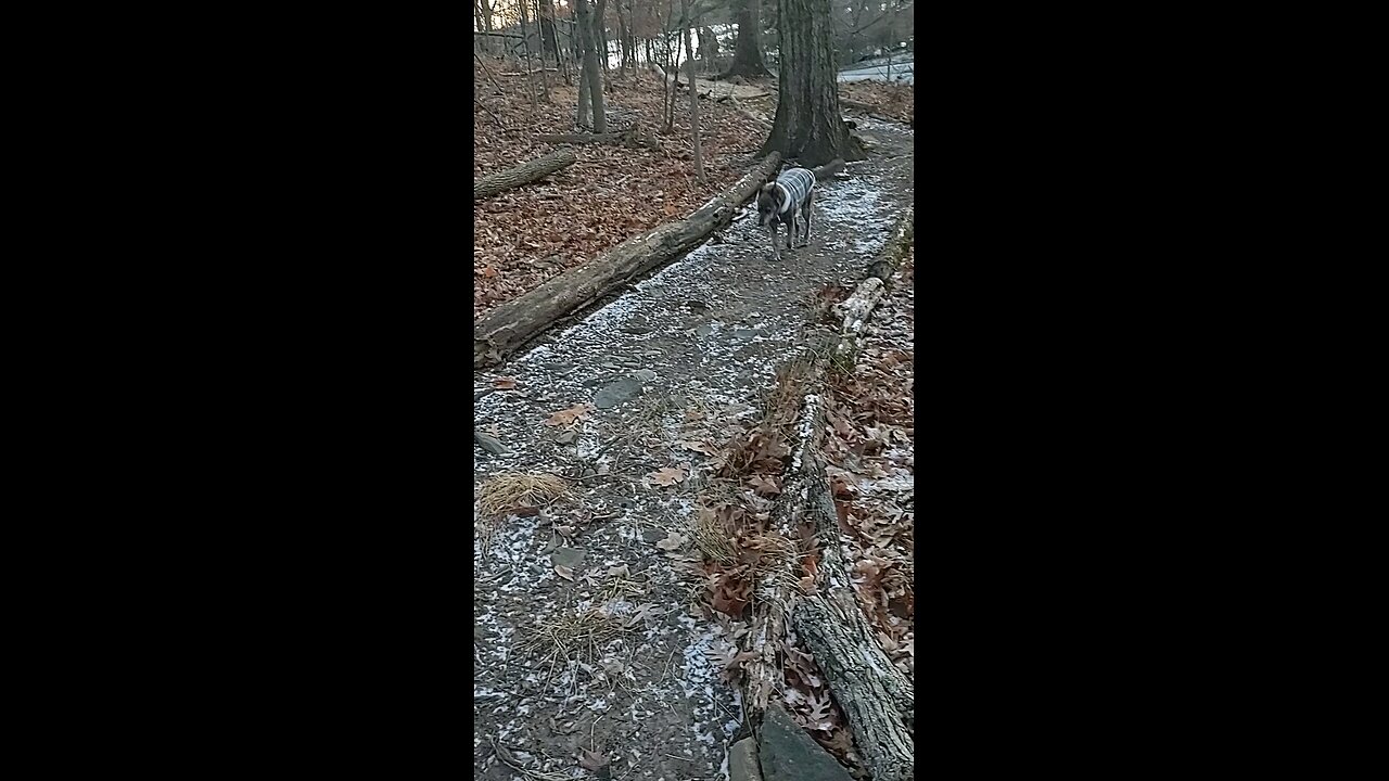 In memory of my little girl Lily