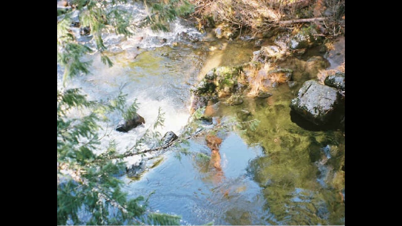 Bible Bard podcast PREVIEW BB_Lesson96_ClassesofBelievers