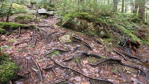 Take a Hike