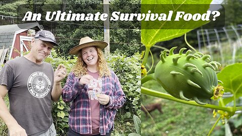 A Forgotten Survival Food