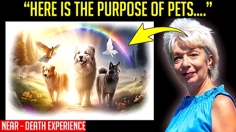 I Died And Met My DOG, He Revealed To Me Its PURPOSE And Where Pets Go After life