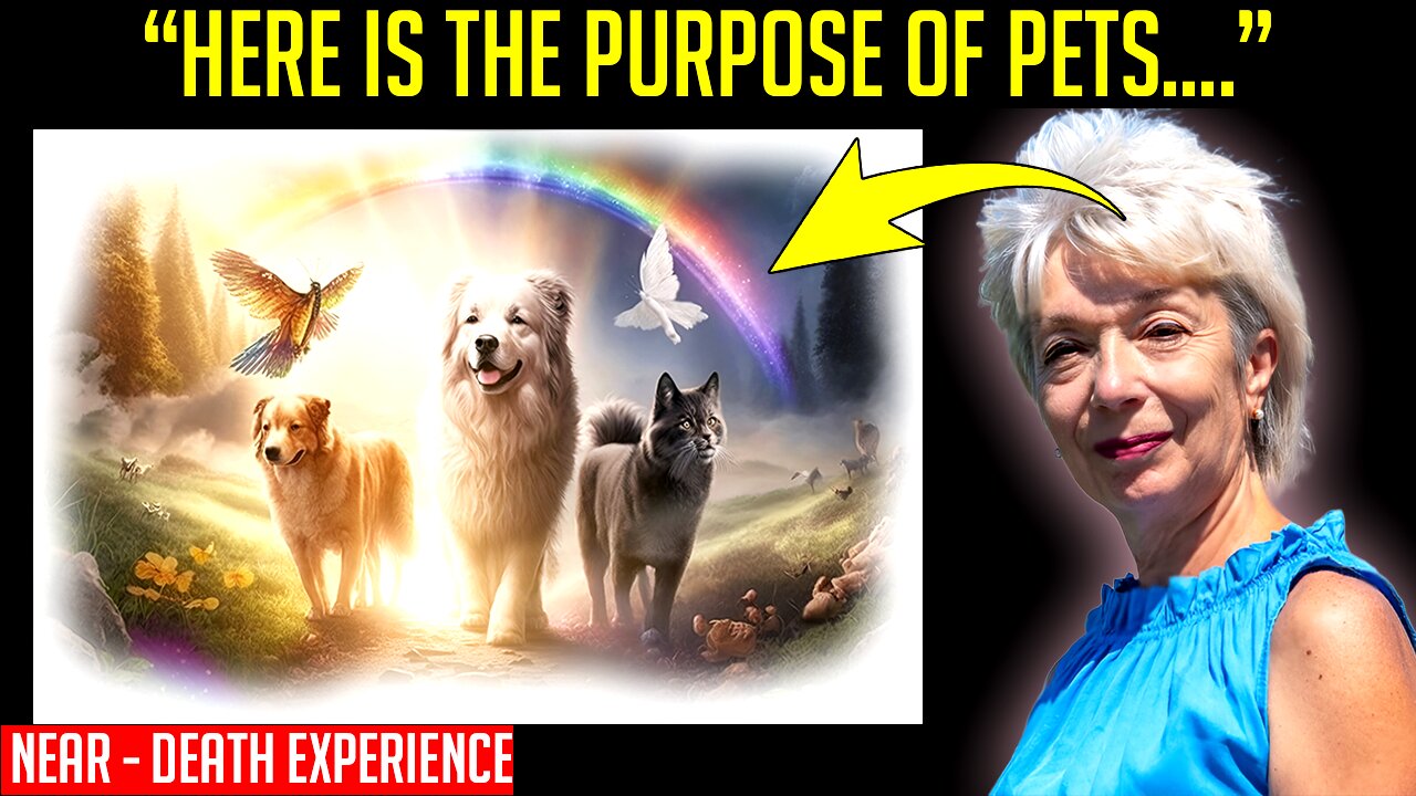I Died And Met My DOG, He Revealed To Me Its PURPOSE And Where Pets Go After life