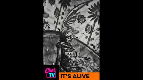 Its Alive Music Video 2025