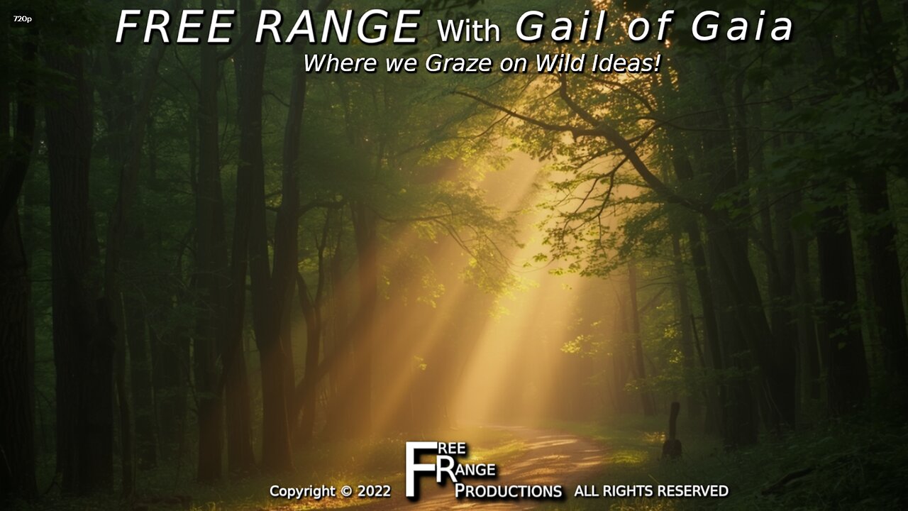 "Every Step Forward Matters" Jenny Lee & Gail of Gaia