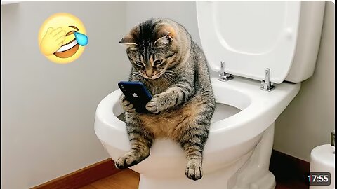 Funny ANIMALS videos 😂 | Funniest Cats and Dogs 2025 🐶😼 viral