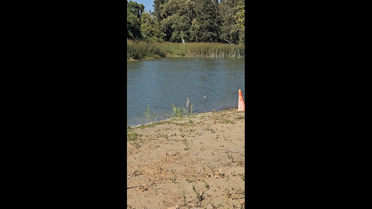 Happy Saturday 😊😁