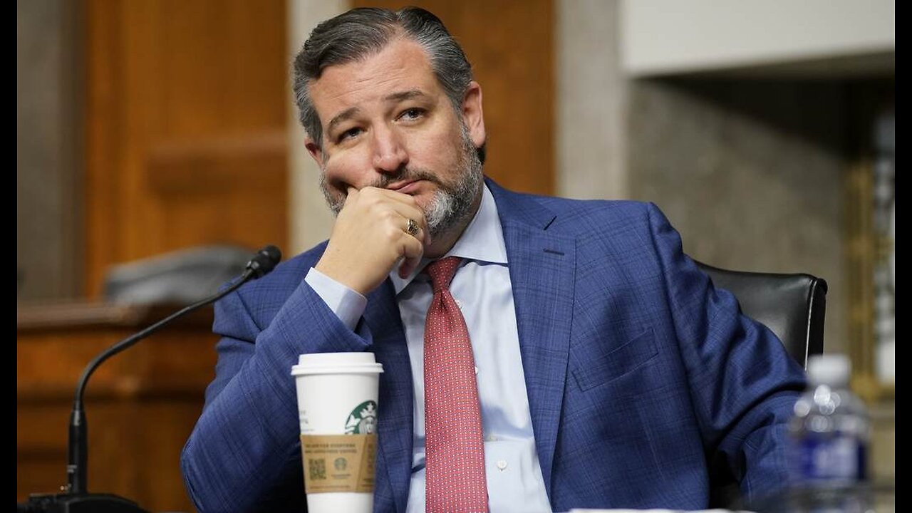 Tim Walz Invites Texans to 'Flee' to the 'Free' State of Minnesota, Ted Cruz Shuts Him Down