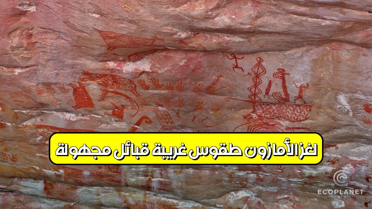 لغز الأمازون: طقوس غريبة! قبائل مجهولة #الأمازون #قبائل #طقوس_غريبة