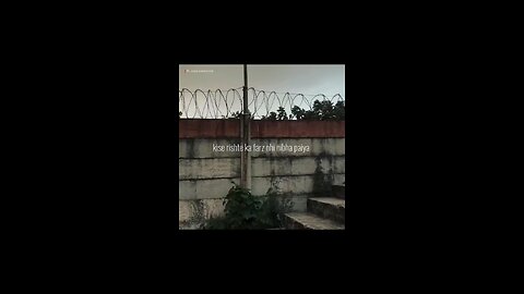 beautiful line