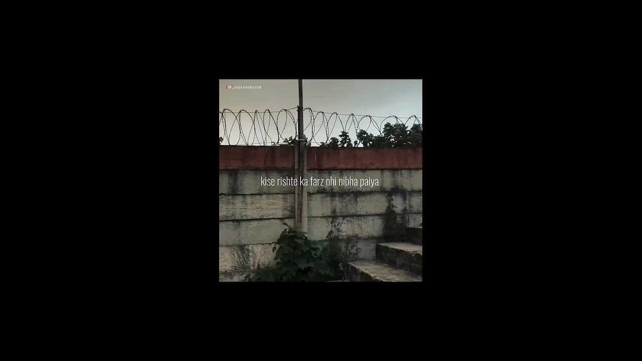 beautiful line