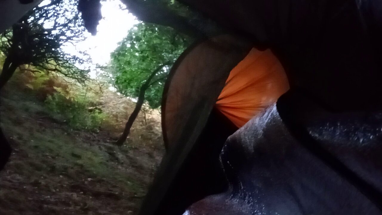 12, dawn, #2025 , @ashoffgrid , #woods hammock