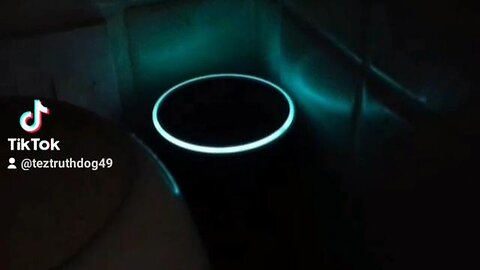 "Unveiling Alexa's Insight on the No-Gender Depopulation Agenda 2021-2030"
