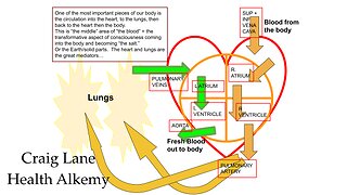 CRAIG LANE MASTERMINDING Health Early Warning Signals and Roots of Dis-Ease