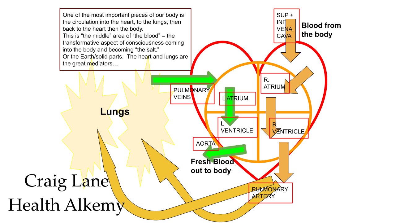 CRAIG LANE MASTERMINDING Health Early Warning Signals and Roots of Dis-Ease