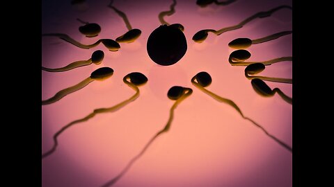 "Research Reveals Low Sperm Count in Vaccinated Men"