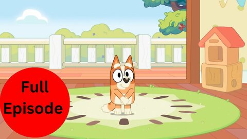 Bluey Full Episode - Bingo