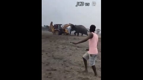 ELEPHANT CLASHES🌽🫛🌱🐘🚜👨‍🌾📸WITH FARMERS IN INDIA OVER LAND🇮🇳🧑‍🌾🌾🐘🚜💫