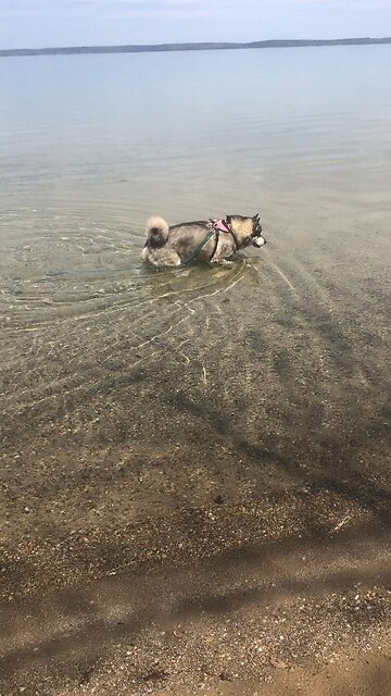 Thursday April 24, What can we say about such wonderful things as these?