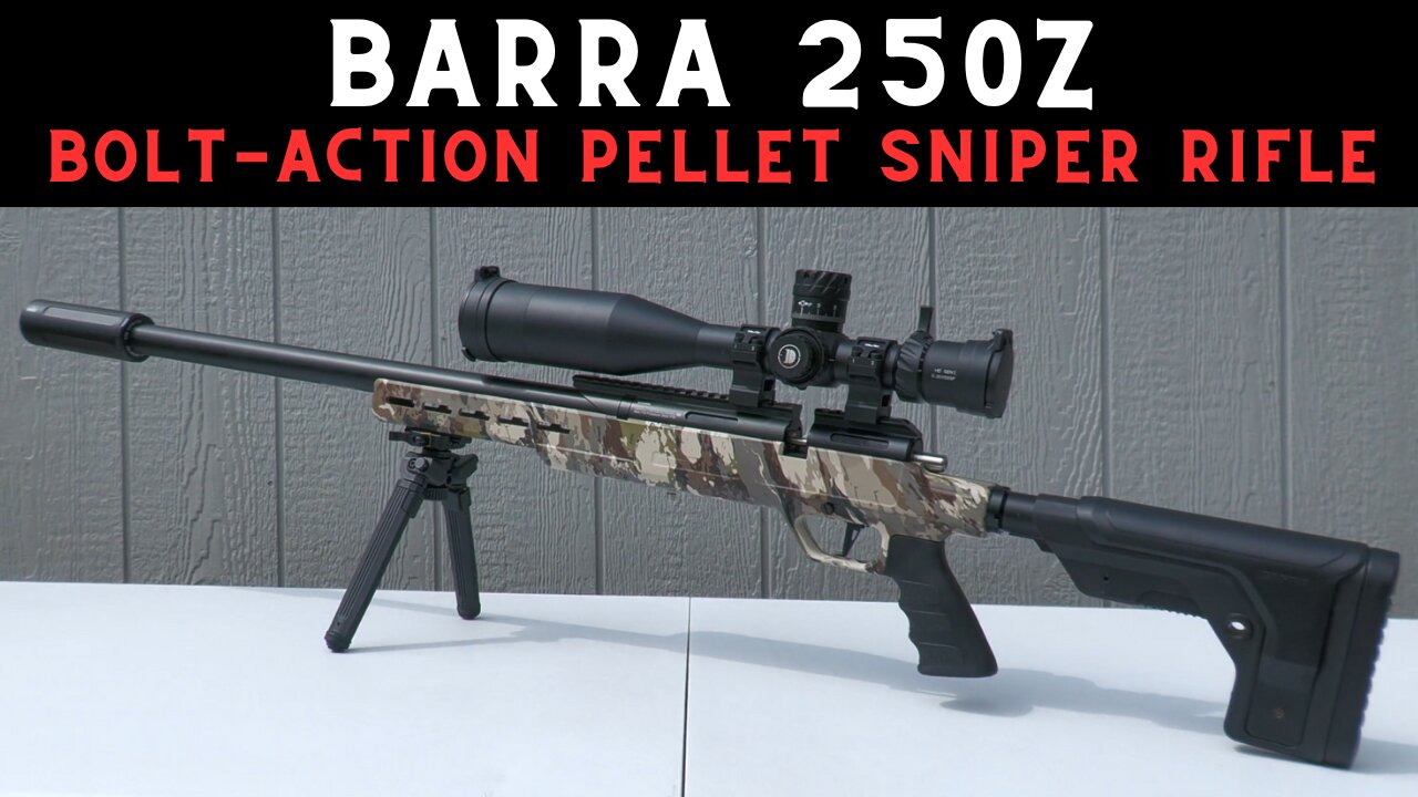 More Fun Than A 22 Long Rifle? - The Barra 250z (A Backyard Plinkers Dream Rifle)