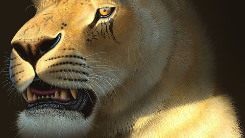 The Largest Cat To Ever Exist - American Lion
