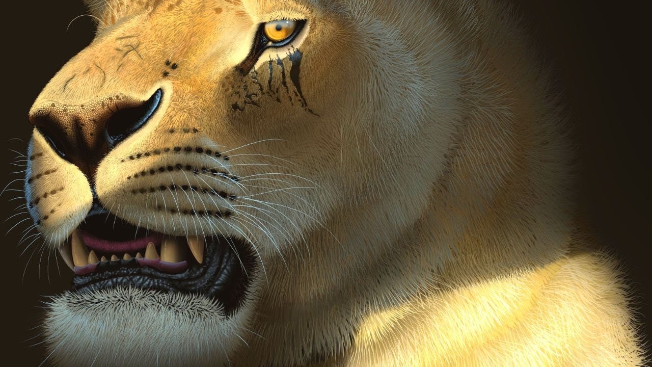 The Largest Cat To Ever Exist - American Lion