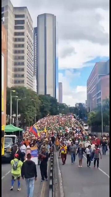 Daily marches demanding the return of President Maduro