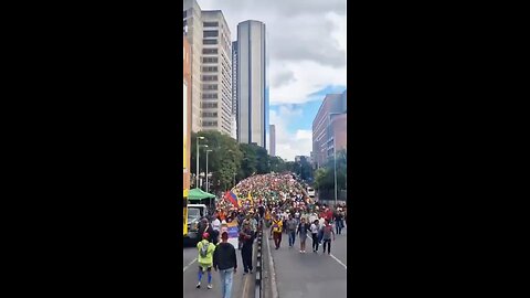 Daily marches demanding the return of President Maduro