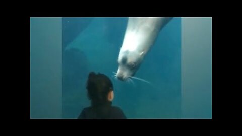KIDS visit WATER ANIMALS at ZOO! - Best REACTIONS ever :)