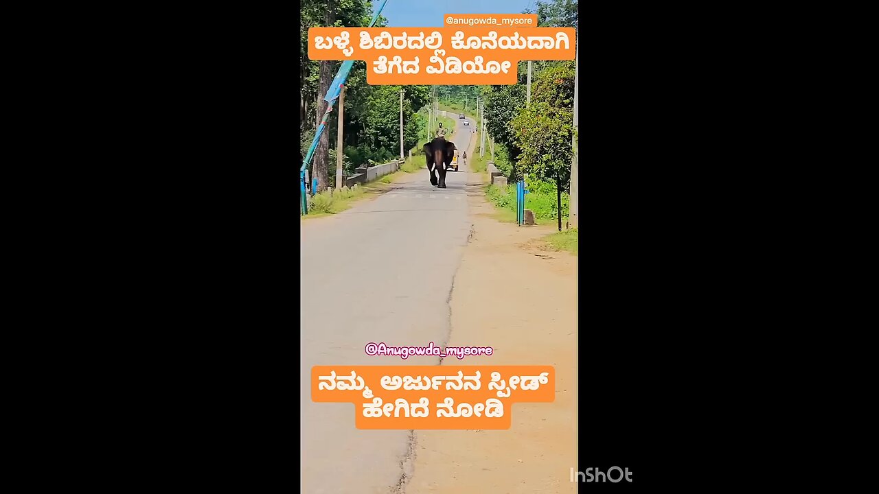 darara elephant king of karnataka