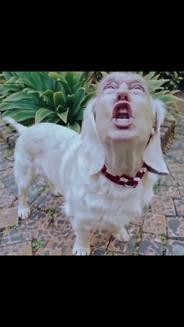 Trump threatens Iran