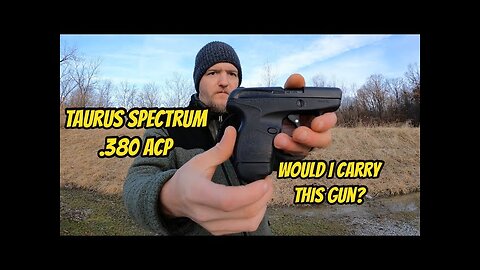 Taurus Spectrum .380 ACP (Good Carry Option?)