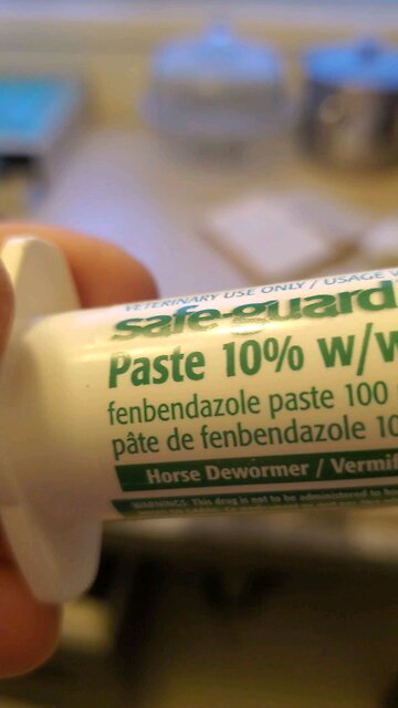 Fenbendazole Cancer Killer