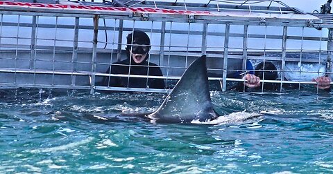 "A deranged killer obsessed with sharks kidnaps women to film their gruesome deaths