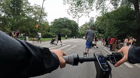 I love new york