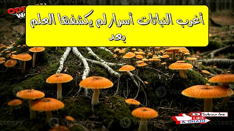 أغرب النباتات: أسرارٌ لم يكشفها العلم بعد!