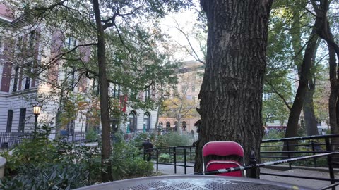 🗽 NYC Live 🔴 Walk (Chat on YouTube)