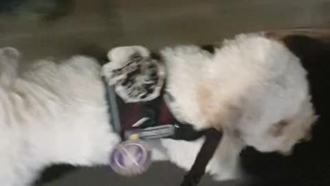 Guiding Task toward building