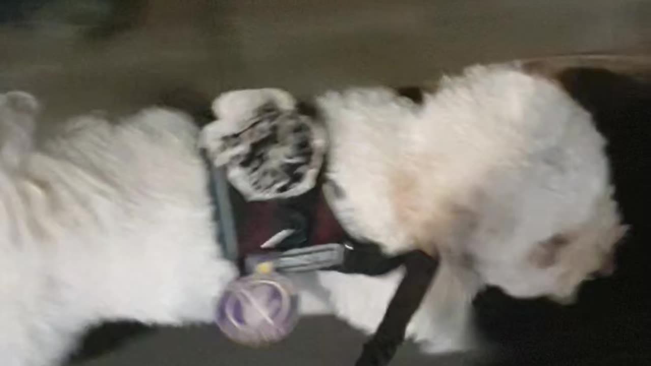 Guiding Task toward building