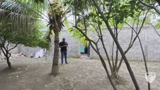 House for Sale in Barrio Guadalupe 🇳🇮 Leon Nicaragua