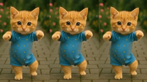 animal dance video