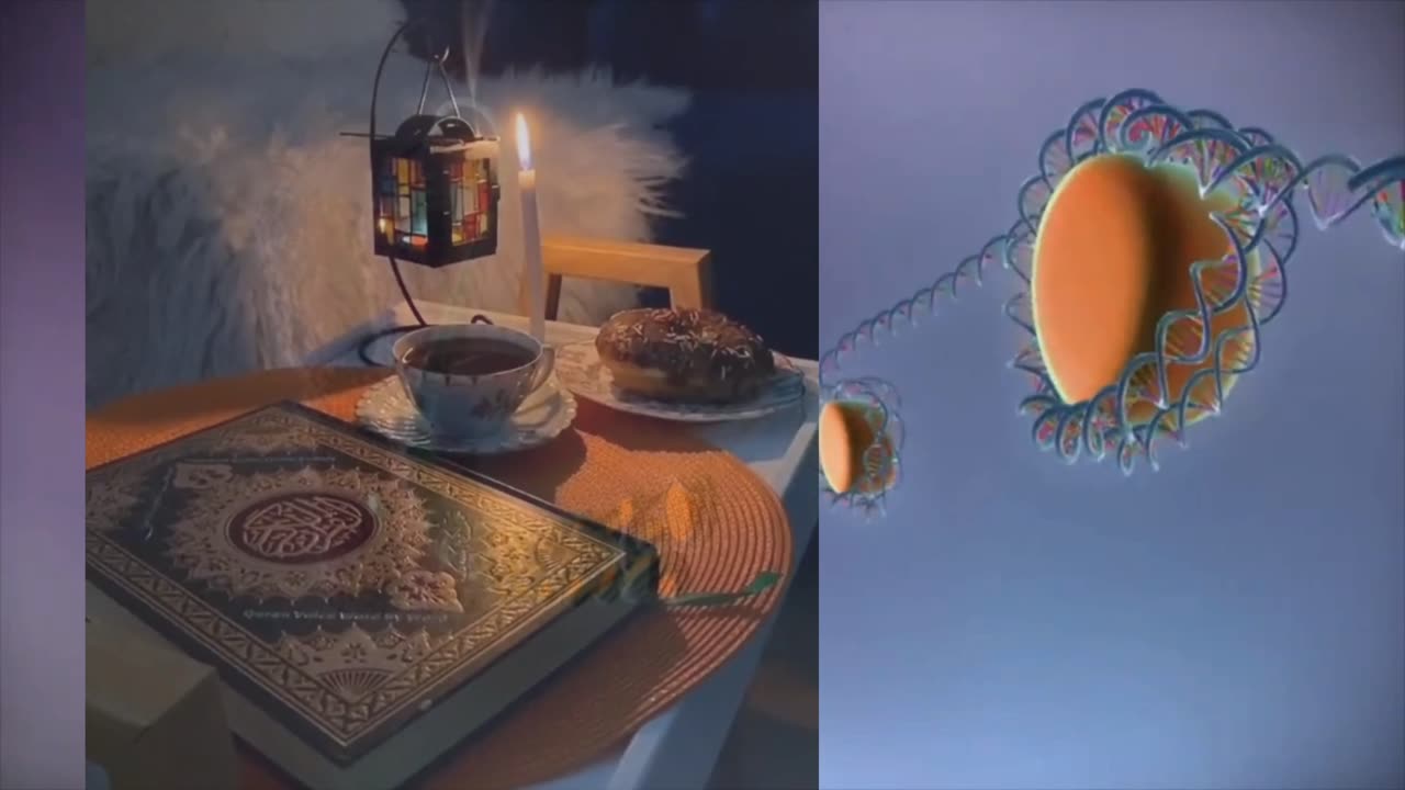 “DNA: The Hidden Code of Life Mentioned in the Quran 1400 Years Ago | Quran and Modern Science”