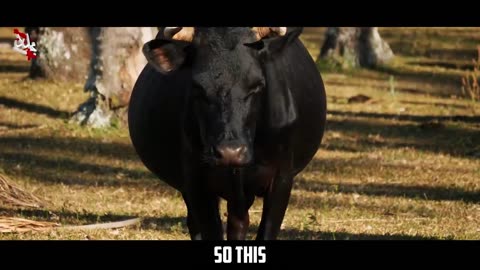 THE MINDSET OF HIGH ACHIEVERS - Powerful Motivational Video for Real Success in Life
